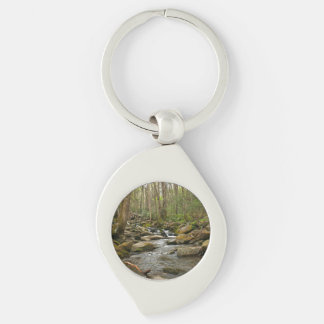 LeConte Creek at Great Smoky Mountains Key Ring