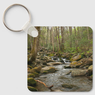 LeConte Creek at Great Smoky Mountains Key Ring
