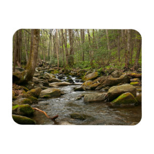 LeConte Creek at Great Smoky Mountains Magnet