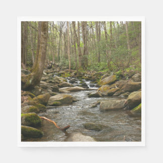 LeConte Creek at Great Smoky Mountains Napkin