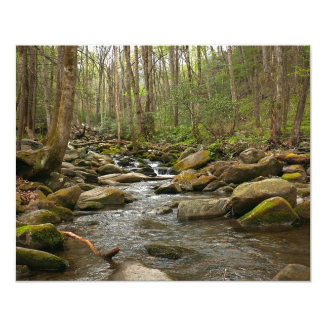 LeConte Creek at Great Smoky Mountains Photo Print (Front)