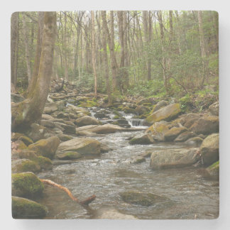 LeConte Creek at Great Smoky Mountains Stone Coaster