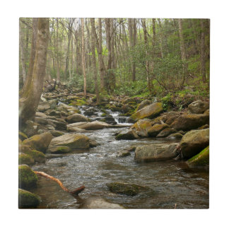 LeConte Creek at Great Smoky Mountains Tile