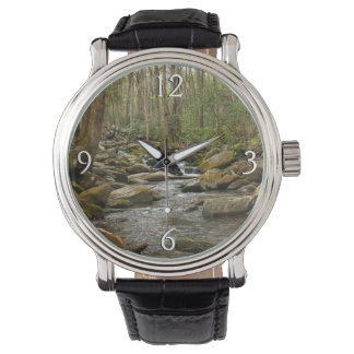 LeConte Creek at Great Smoky Mountains Watch