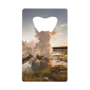 Ledge Geyser, Norris Geyser Basin