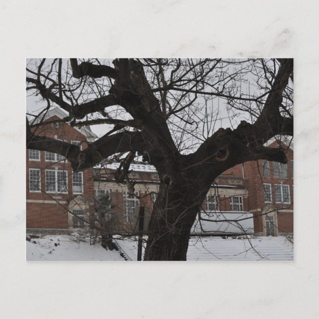 Lee High Postcard (Front)