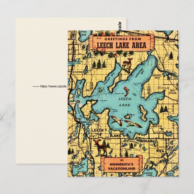 Leech Lake  Minnesota Map Postcard (Front/Back)
