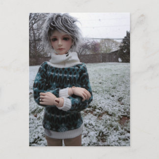 Leekeworld Min, Asian Ball-Jointed Doll Postcard