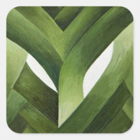 Leeks 2013