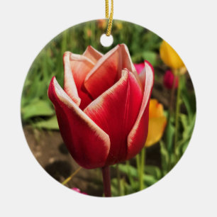 Leen Van Der Mark Tulip, Oregon Ceramic Tree Decoration