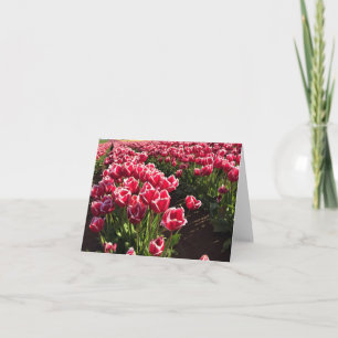 Leen Van Der Mark Tulips, Oregon Card