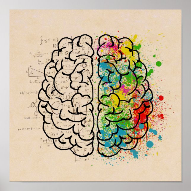 Left And Right Human Brain Poster (Front)