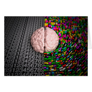 Left Brain & Right Brain
