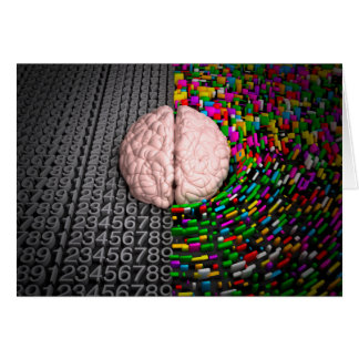 Left Brain & Right Brain