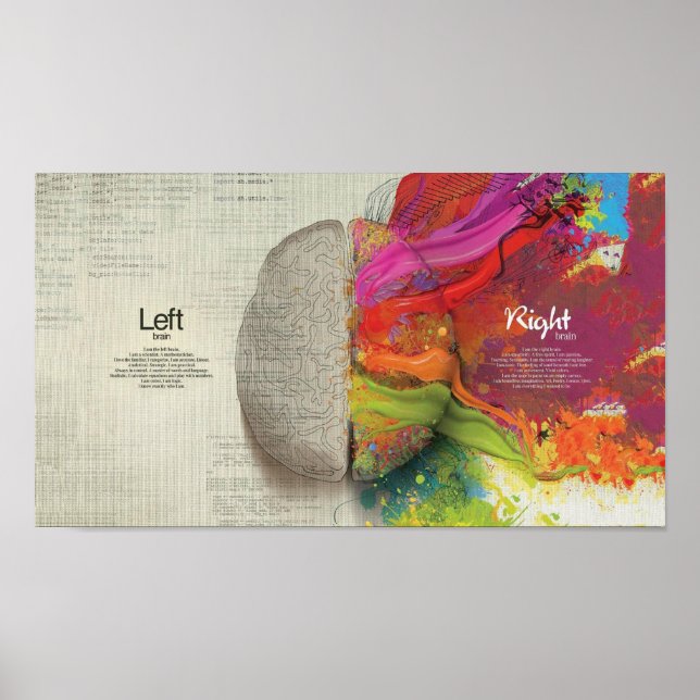 Left Brain vs Right Brain Poster (Front)