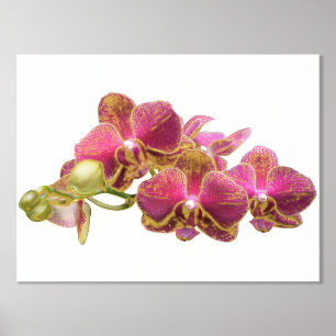 Left Foil Accents on Red Orchids Print Poster