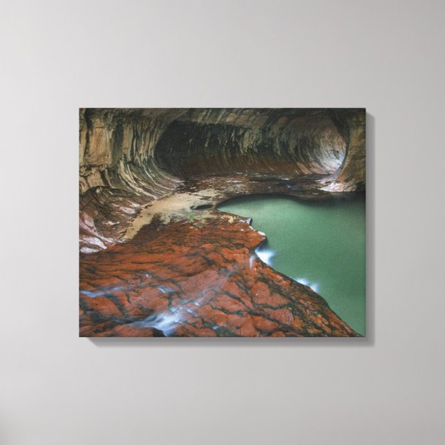 Left Fork | Zion National Park, Utah Canvas Print (Front)