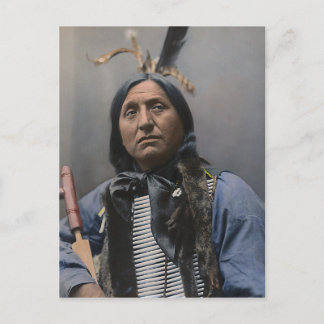 Left Hand Bear Postcard