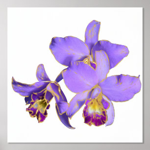 Left Purple Orchid Group Print Poster