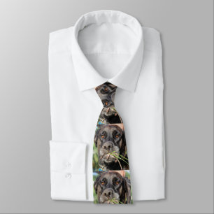 Lefty & The Vole Tie
