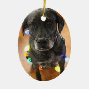 Lefy + Lights Hoiday Ornament