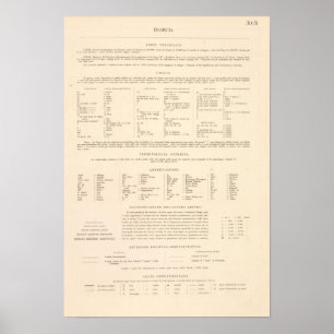 Legend 3031 France Poster