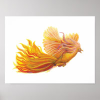 Legendary Phoenix Bird