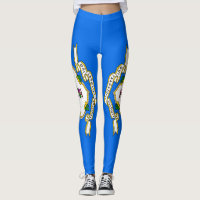 Leggings with flag of Connecticut State, USA