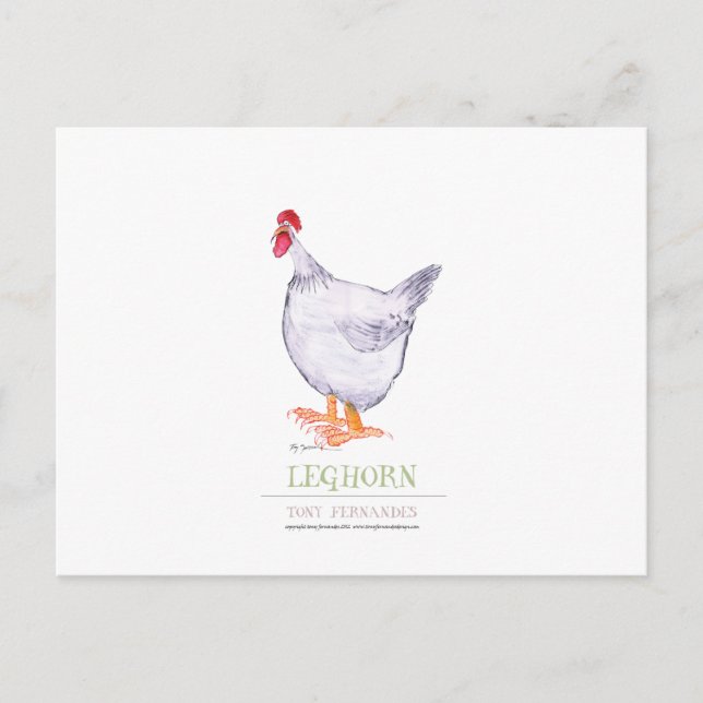 LEGHORN HEN, tony fernandes Postcard (Front)