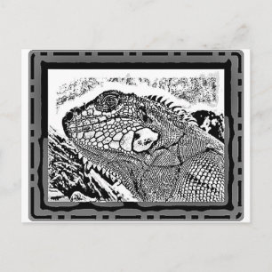Leguan black/white postcard