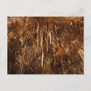 Lehman Cave Postcard