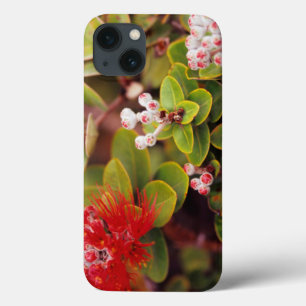 Lehua Blossoms In Hawaii Volcanoes iPhone 13 Case