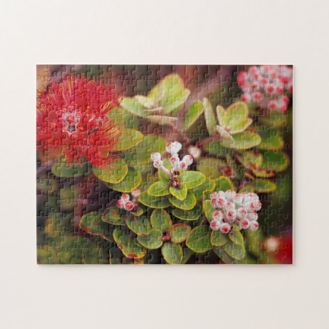 Lehua Blossoms In Hawaii Volcanoes Jigsaw Puzzle (Horizontal)