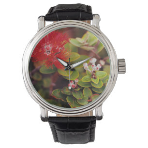 Lehua Blossoms In Hawaii Volcanoes Watch