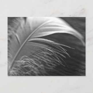 Leichtigkeit Postcard