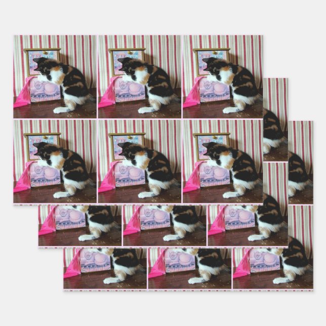 Leilani's Wardrobe - All Occasion Wrapping Paper Sheet (Set)