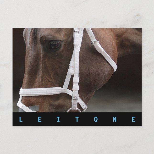 Leitone Postcard (Front)