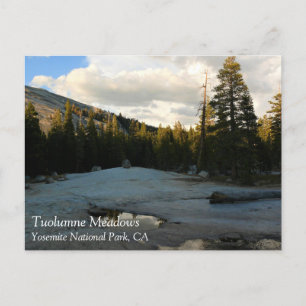 Lembert Dome in Tuolumne Meadows, Yosemite, CA Pos Postcard
