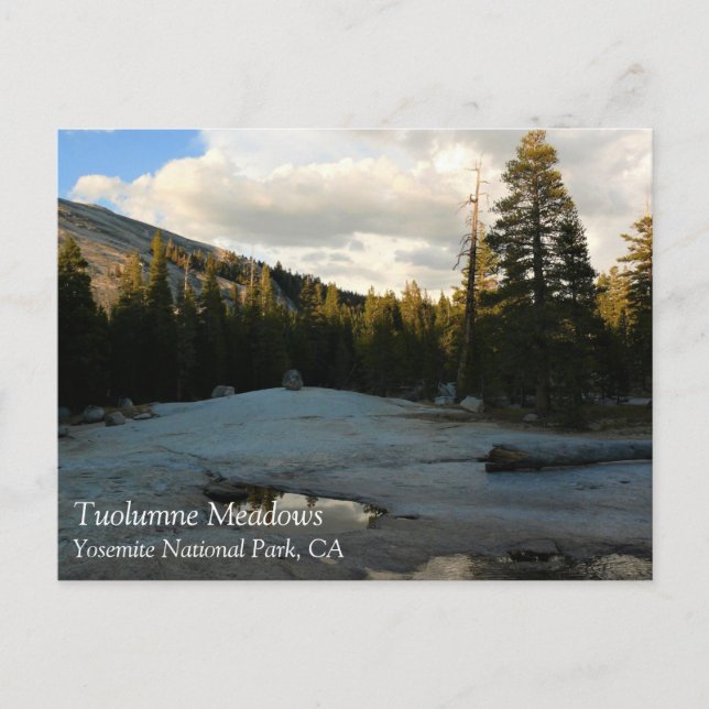 Lembert Dome in Tuolumne Meadows, Yosemite, CA Pos Postcard (Front)