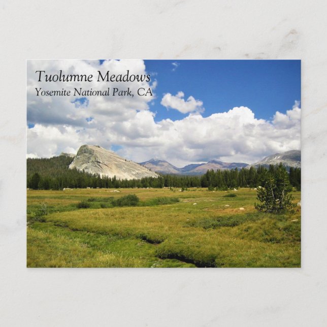 Lembert Dome in Tuolumne Meadows, Yosemite, CA Pos Postcard (Front)