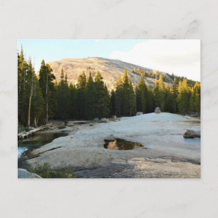 Lembert Dome in Tuolumne Meadows, Yosemite, CA Postcard