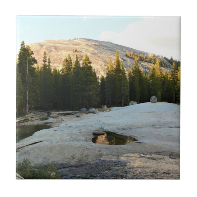 Lembert Dome in Tuolumne Meadows, Yosemite, CA Tile (Front)