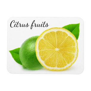 Lemon and lime magnet