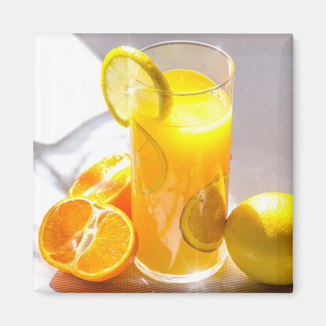 Lemon and Oranges Fruit Photography Magnet (Front)