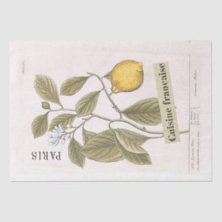 Lemon Botanical Illustration French Script Fruit Tissue Paper