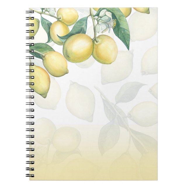 Lemon Branches White & Yellow Country Rustic Chic Notebook (Front)