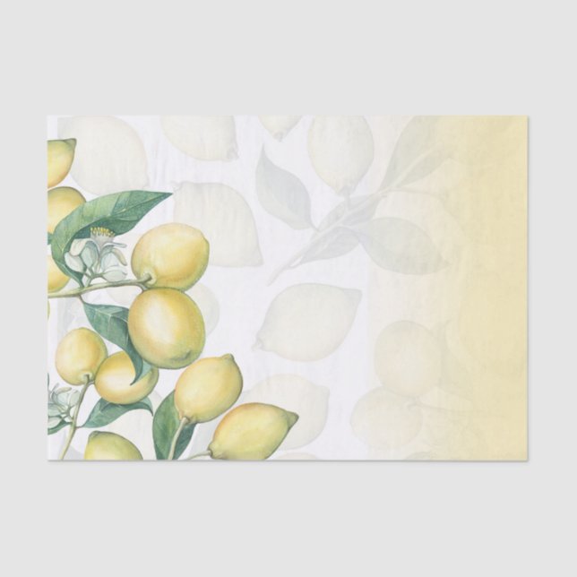 Lemon Branches White & Yellow Country Rustic Tissue Paper (Front)