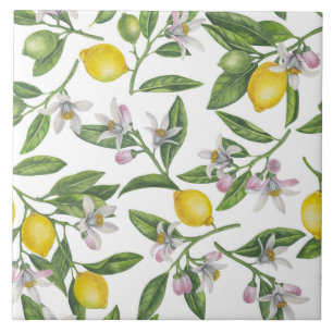 Lemon branches with blossoms and fruit on white tile