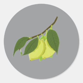 Lemon  classic round sticker