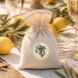 Lemon Fruit Round Classic Sticker